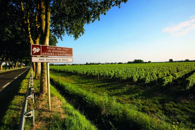 Road through the Bordeaux wine region for long-distance private transfers